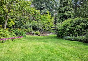 Optimiser l'expérience du jardin à Cornillon-Confoux